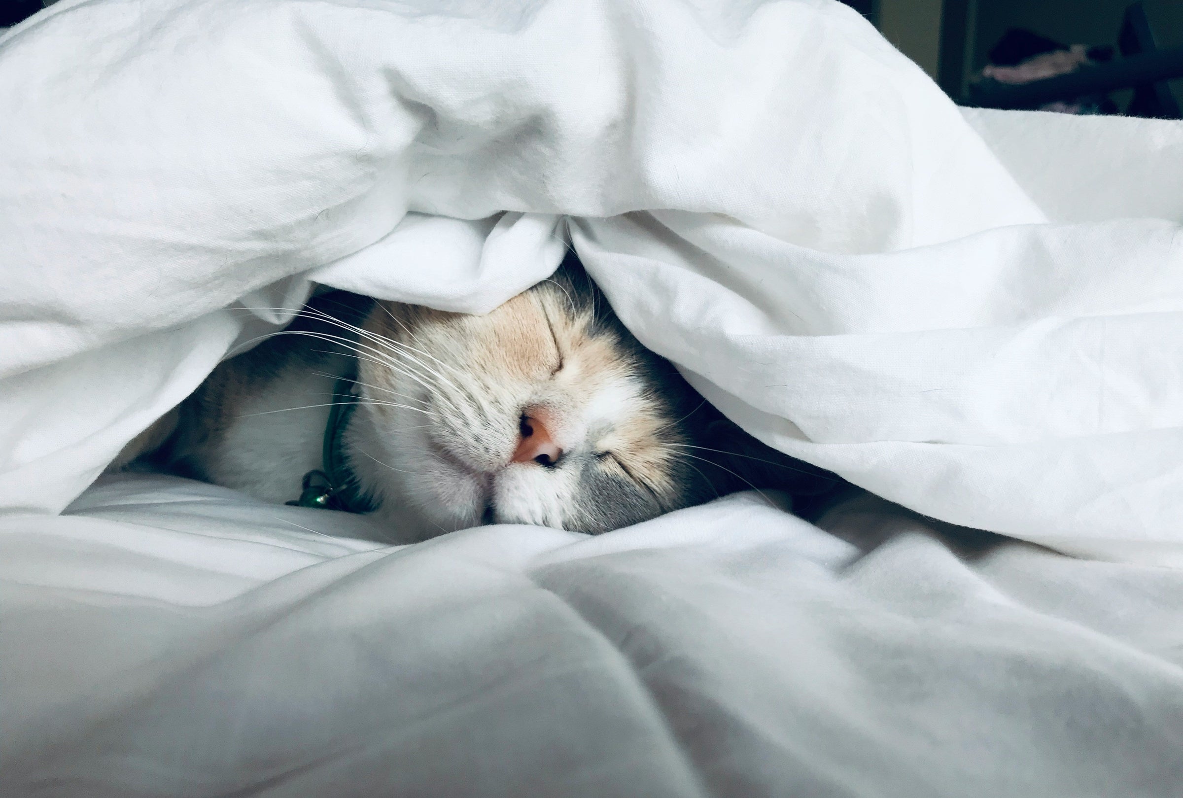 COMFORT